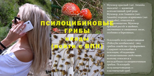 прущий лед Белокуриха