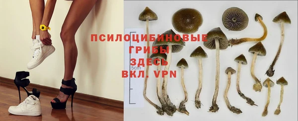винт Снежногорск